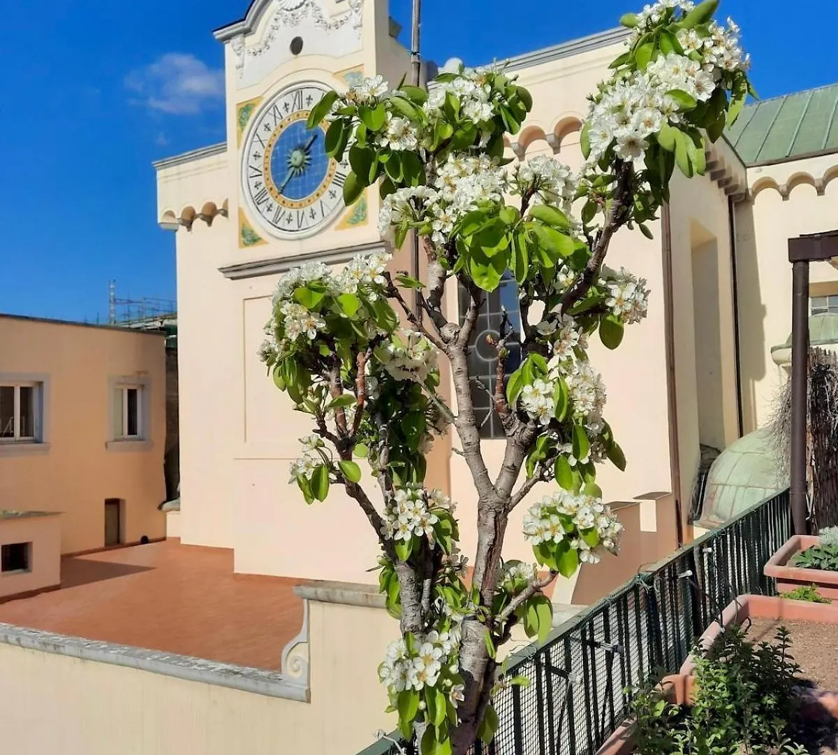 B&B Dimora Cortese Naples 0*,